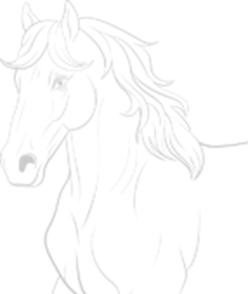 Horse Painting