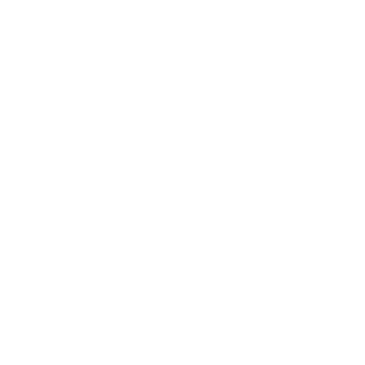 document icon